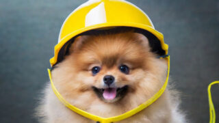 防災ヘルメットは本当に必要?いらない派の声と代用品まで徹底解説!